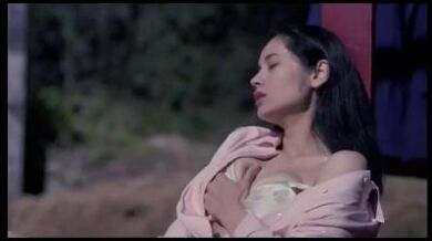 香港三级片《借种》.